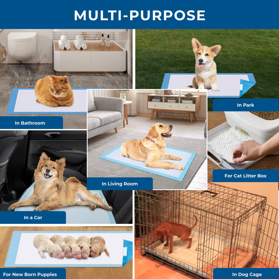 Pee pads used in a bathroom, park, living room, car, crate, cat litter box and for newborn puppies