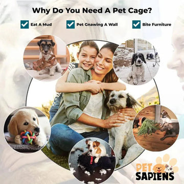 5 Natural Remedies to Calm Your Anxious Dog - PETSAPIENS
