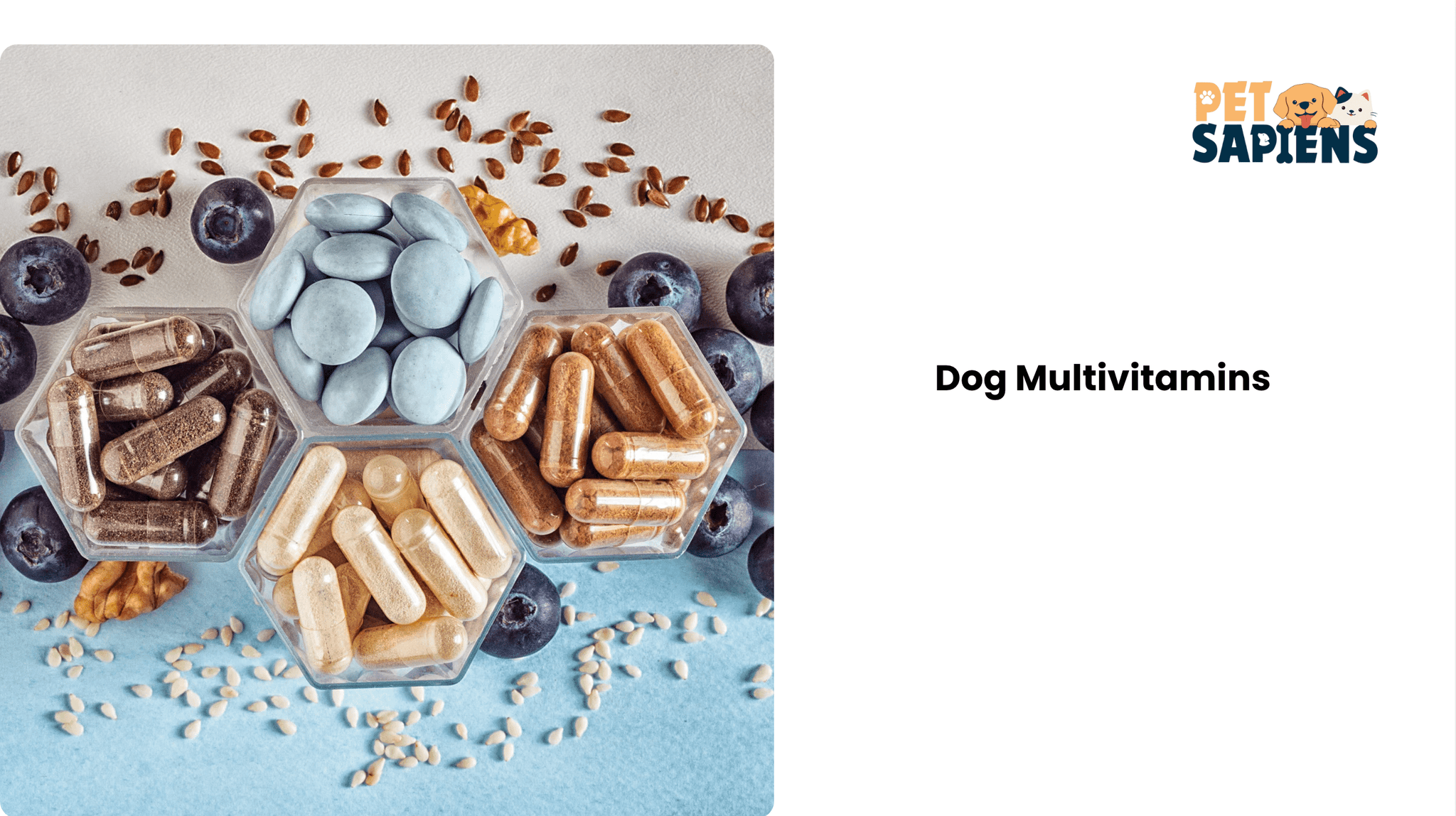 Best Dog Multivitamins for Daily Health & Energy: A Complete Guide - PETSAPIENS
