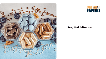 Best Dog Multivitamins for Daily Health & Energy: A Complete Guide - PETSAPIENS