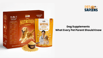 Dog Supplements: What Every Pet Parent Should Know - PETSAPIENS