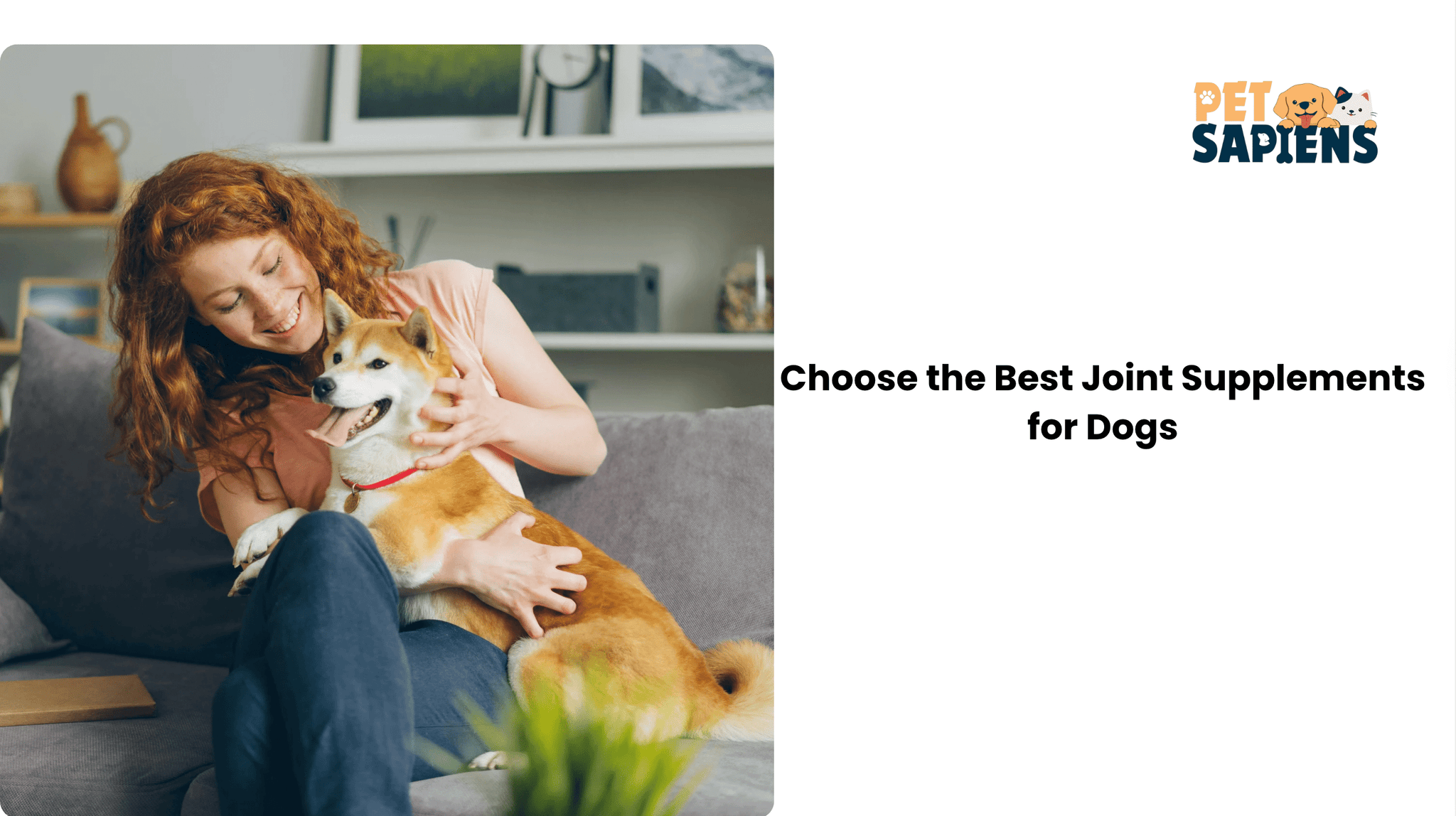 How to Choose the Best Joint Supplements for Dogs: Ingredients, Dosage & Vet Advice - PETSAPIENS