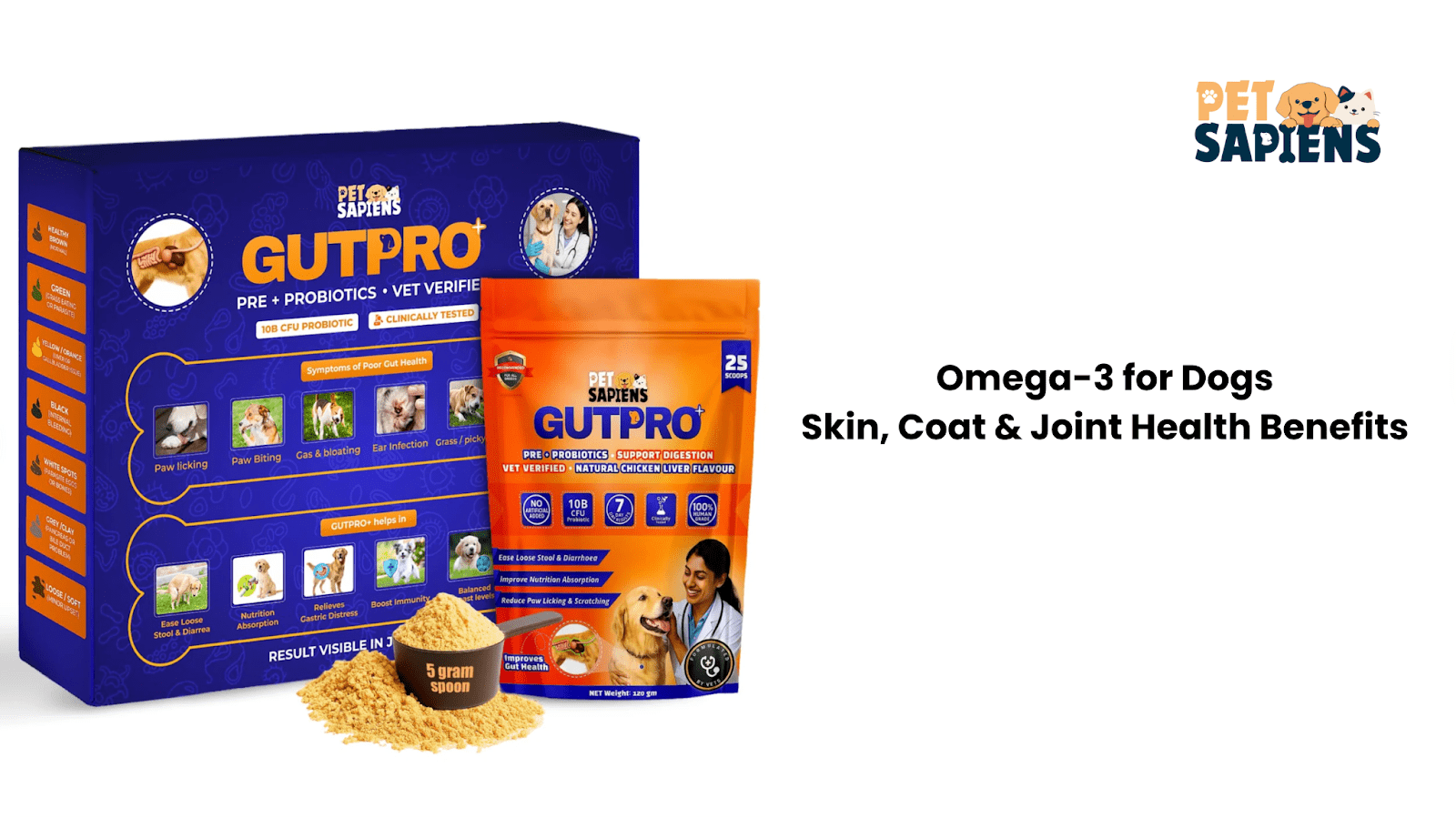 Omega-3 for Dogs: Skin, Coat & Joint Health Benefits - PETSAPIENS