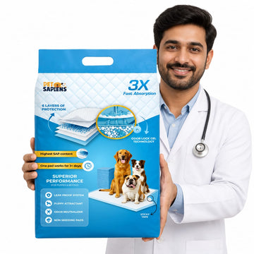 Training Pee Pads with Adhesive Tape