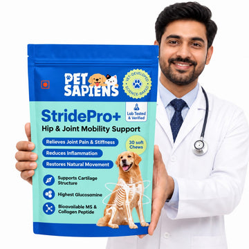 Veterinarian holding a pack of PetSapiens StridePro+ Hip & Joint soft chews