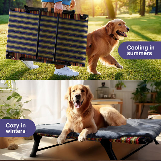 Folding Elevated Dog Bed for All Breeds