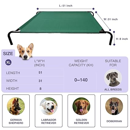 Elevated Dog Bed Large Size with Blanket (51 x 31 x 8 inches)
