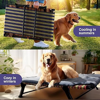 Folding Dog Bed Extra Large with Blanket