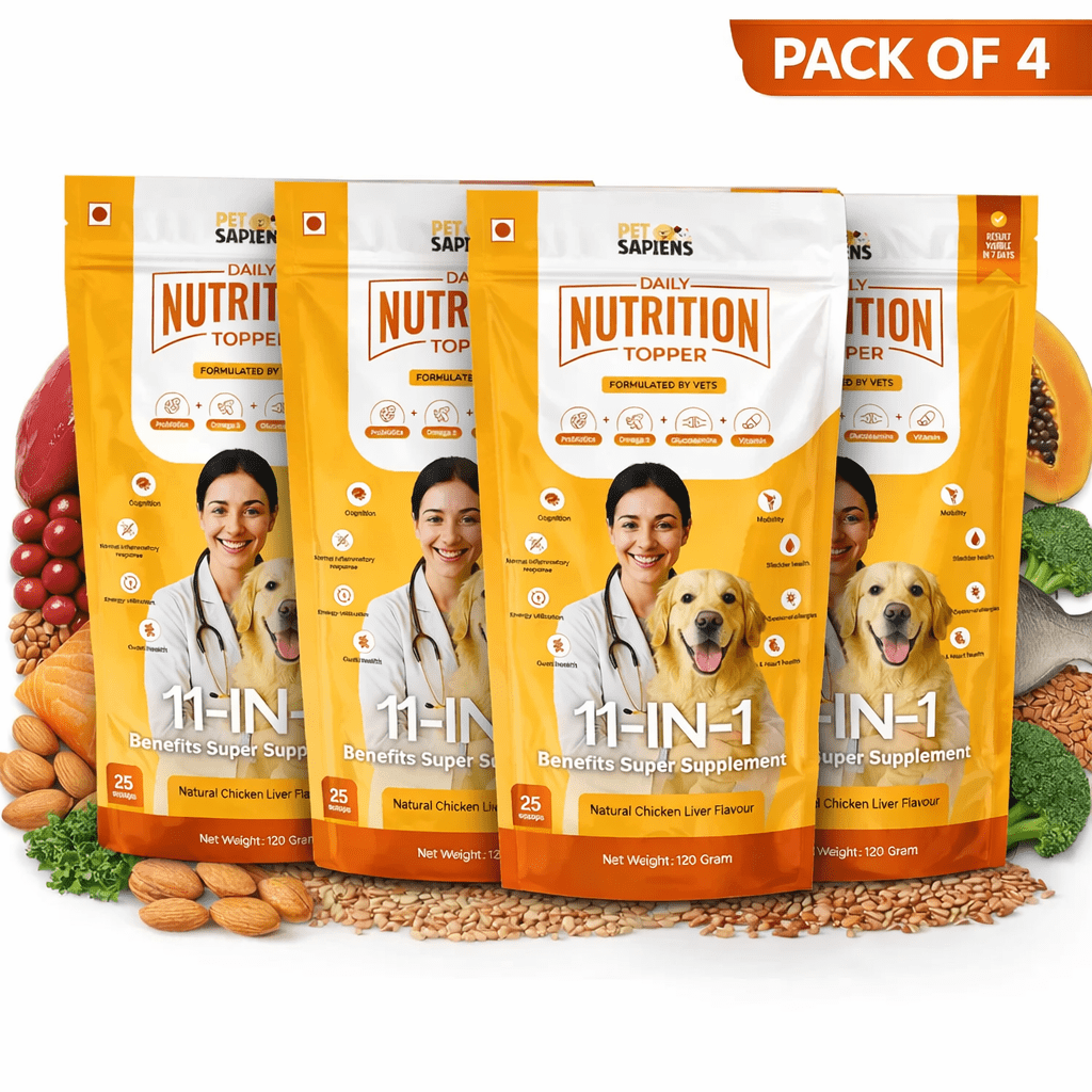 Daily Multivitamins For Dogs - PETSAPIENS