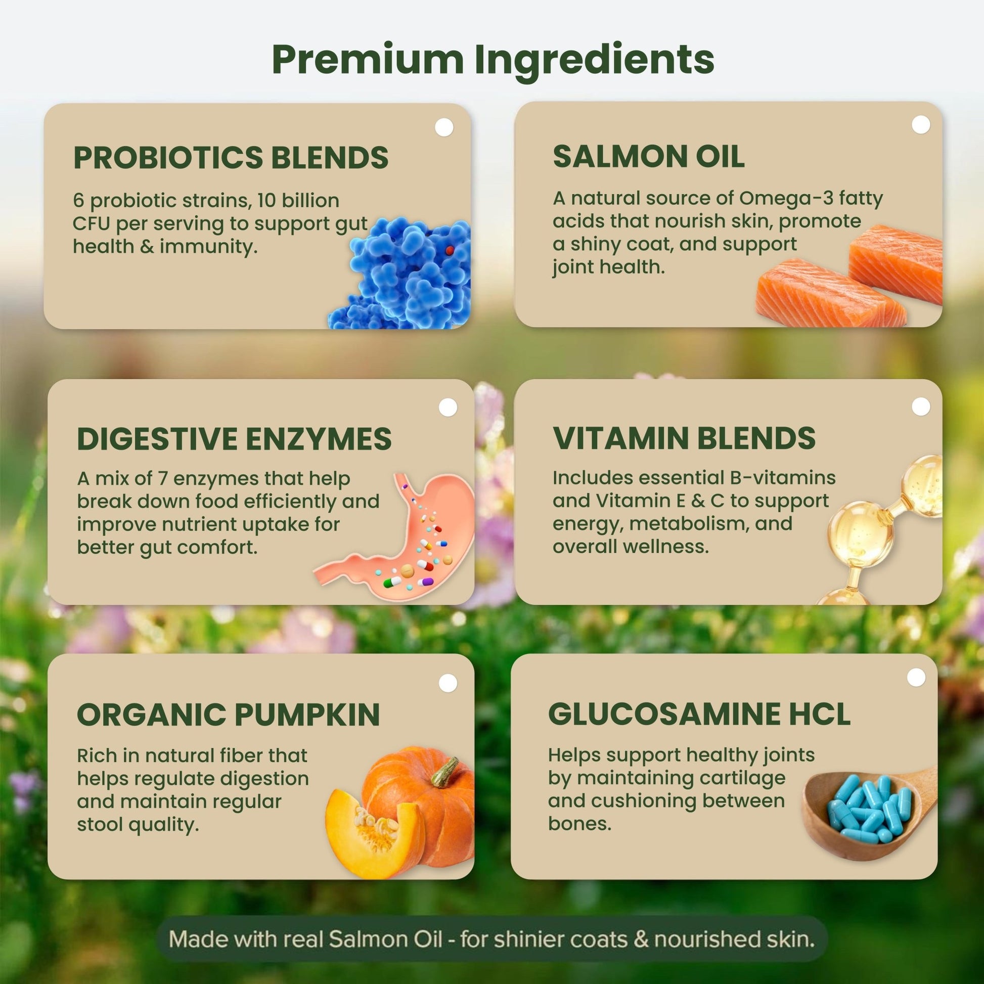 Daily Multivitamins For Dogs - PETSAPIENS