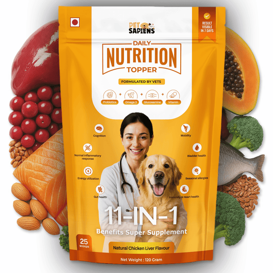 Daily Multivitamins For Dogs - PETSAPIENS