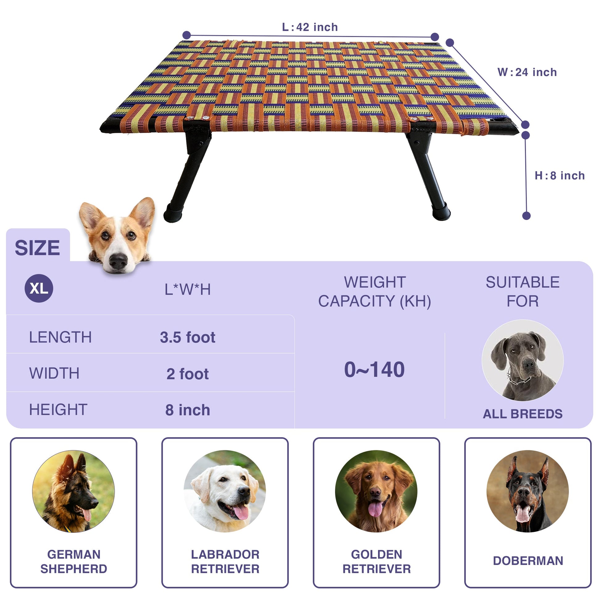 Folding Elevated Dog Bed for All Breeds - PETSAPIENS