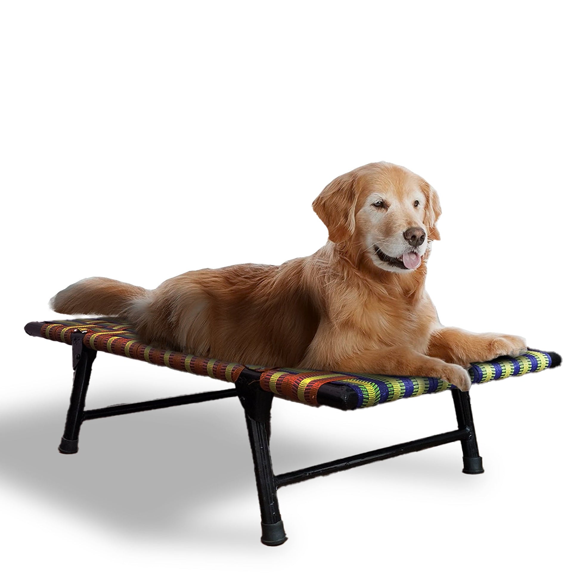 Folding Elevated Dog Bed for All Breeds - PETSAPIENS