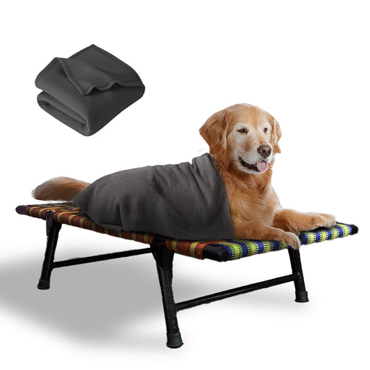 Folding Elevated Dog Bed for All Breeds - PETSAPIENS