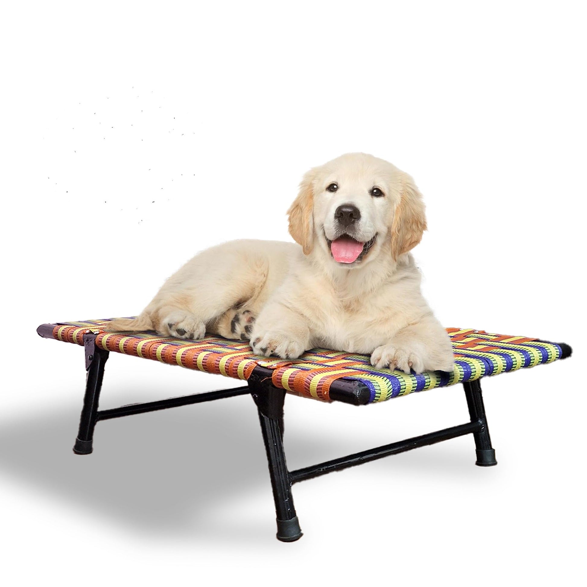 Folding Elevated Dog Bed for All Breeds - PETSAPIENS