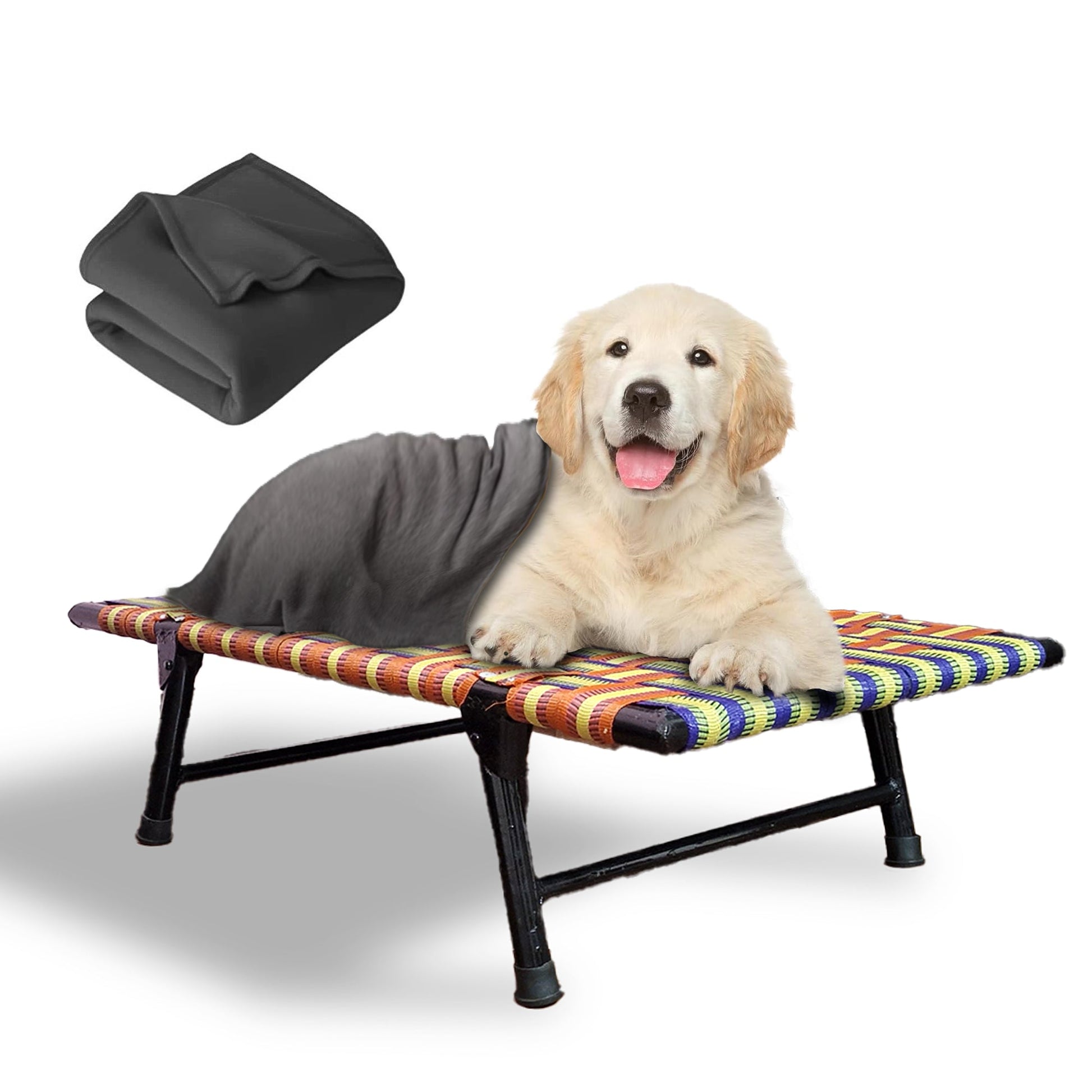 Folding Elevated Dog Bed for All Breeds - PETSAPIENS