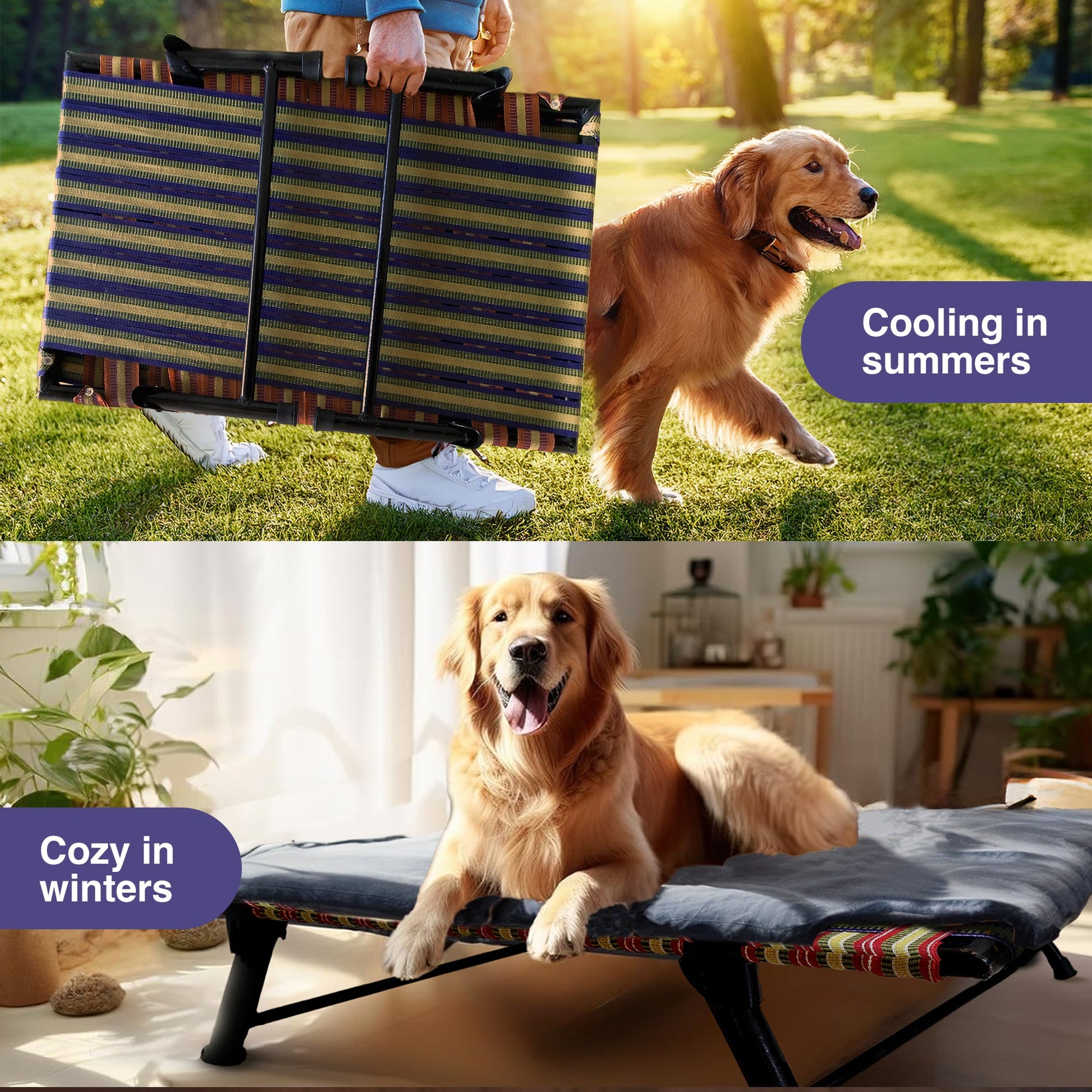 Folding Elevated Dog Bed for All Breeds - PETSAPIENS