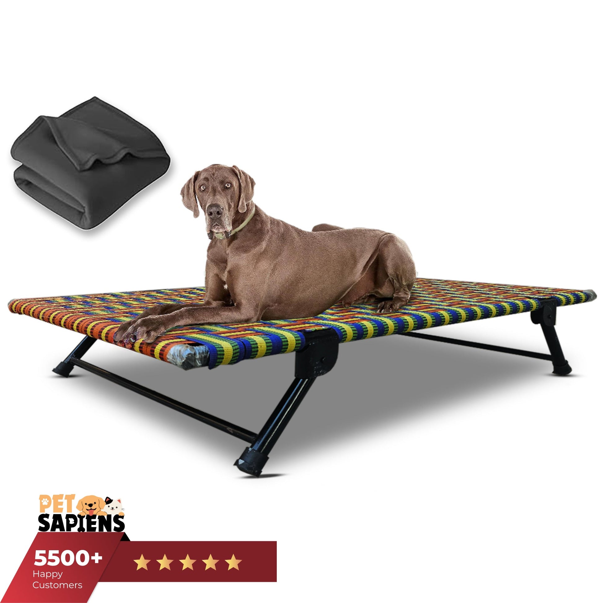 Folding Elevated Dog Bed for All Breeds - PETSAPIENS