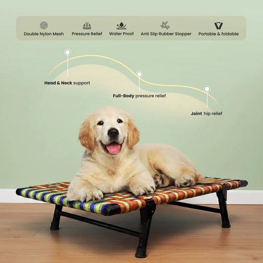 Folding Elevated Dog Bed (with Free Blanket) - PETSAPIENS
