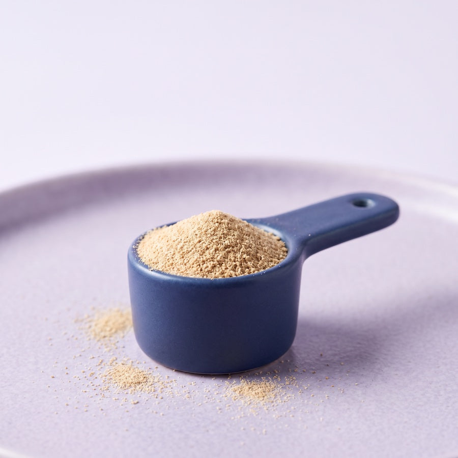 A scoop of GutPro+ powder