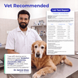 Consulting vet Dr. Samrat Shaw with a golden retriever and the StridePro+ lab test report