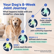 StridePro+ 8-week joint journey graphic showing what happens with one chew a day