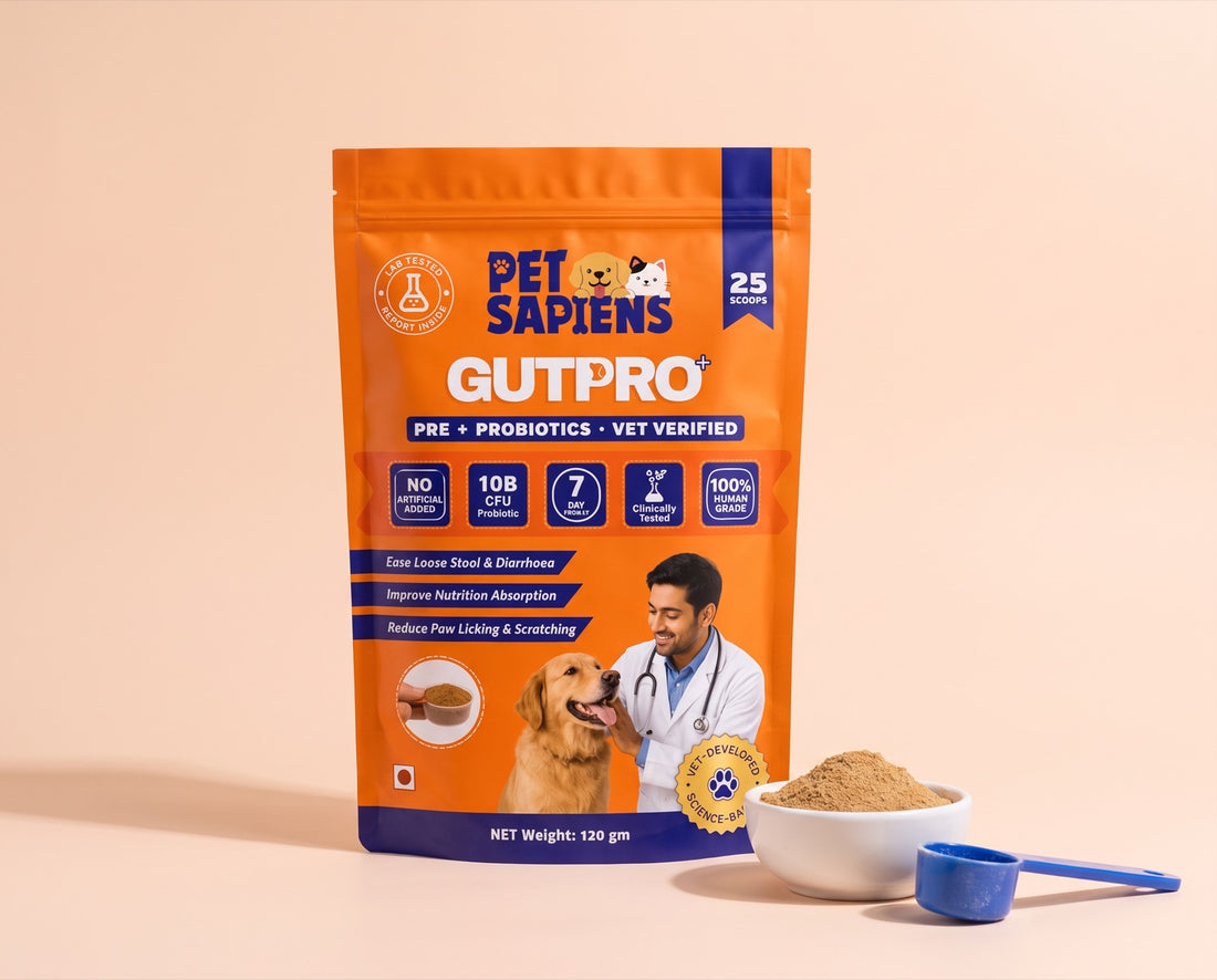 GutPro+ gut health powder pouch
