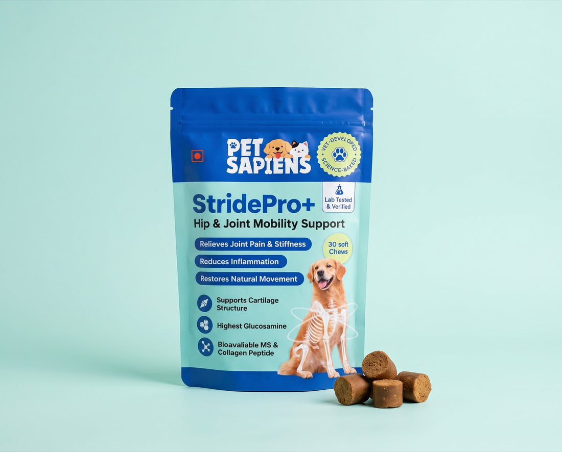 StridePro+ hip and joint soft chews pouch