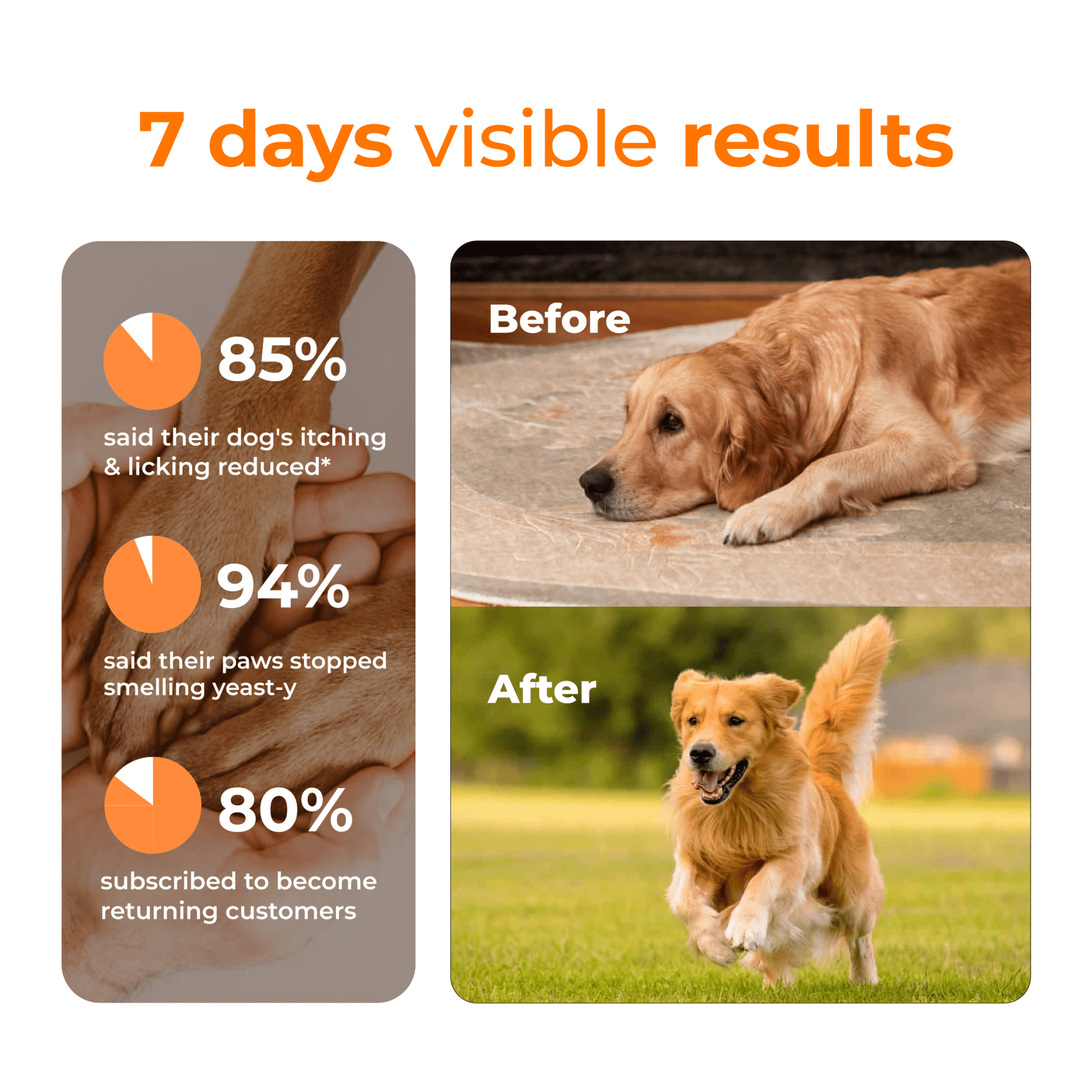 Pet Supplement for Daily Nutrition Topper & Multivitamin - PETSAPIENS