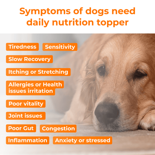 Pet Supplement for Daily Nutrition Topper & Multivitamin - PETSAPIENS