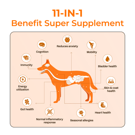 Pet Supplement for Daily Nutrition Topper & Multivitamin - PETSAPIENS