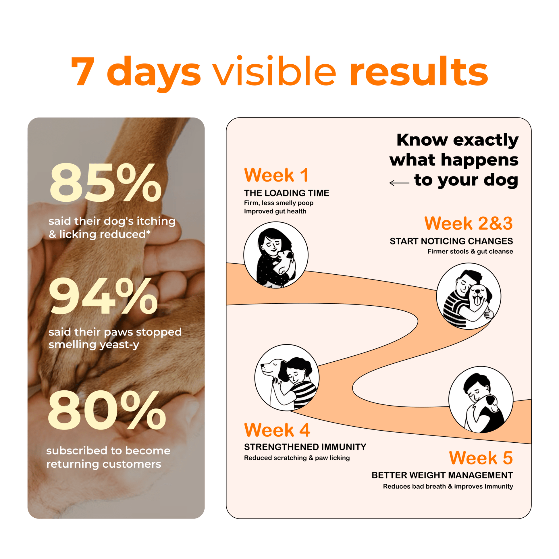 Pet Supplement for Gut Health, Pre + Probiotics For Dogs - PETSAPIENS