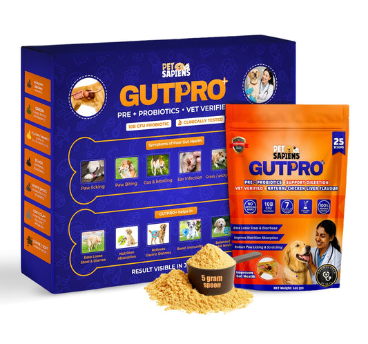 Pet Supplement for Gut Health, Pre + Probiotics For Dogs - PETSAPIENS