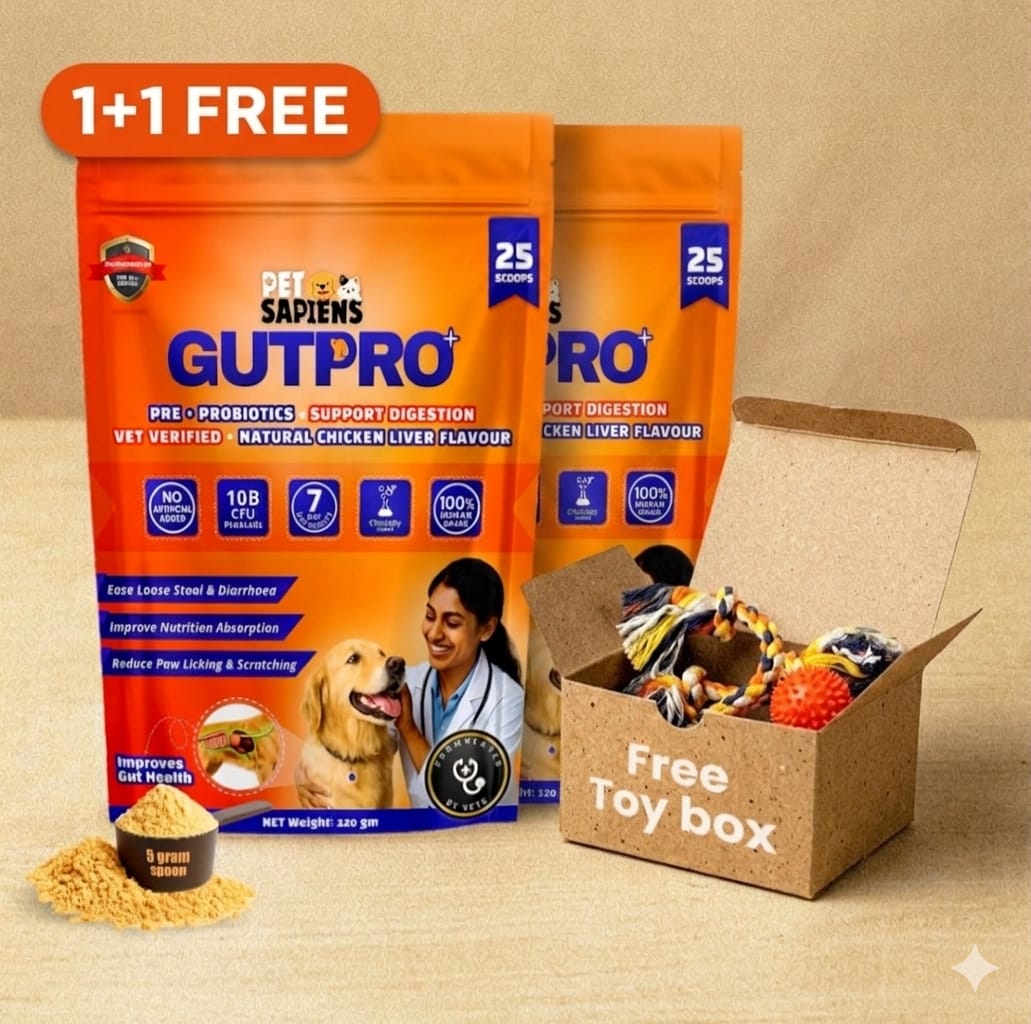 Pre + Probiotics Formula for Dog - PETSAPIENS