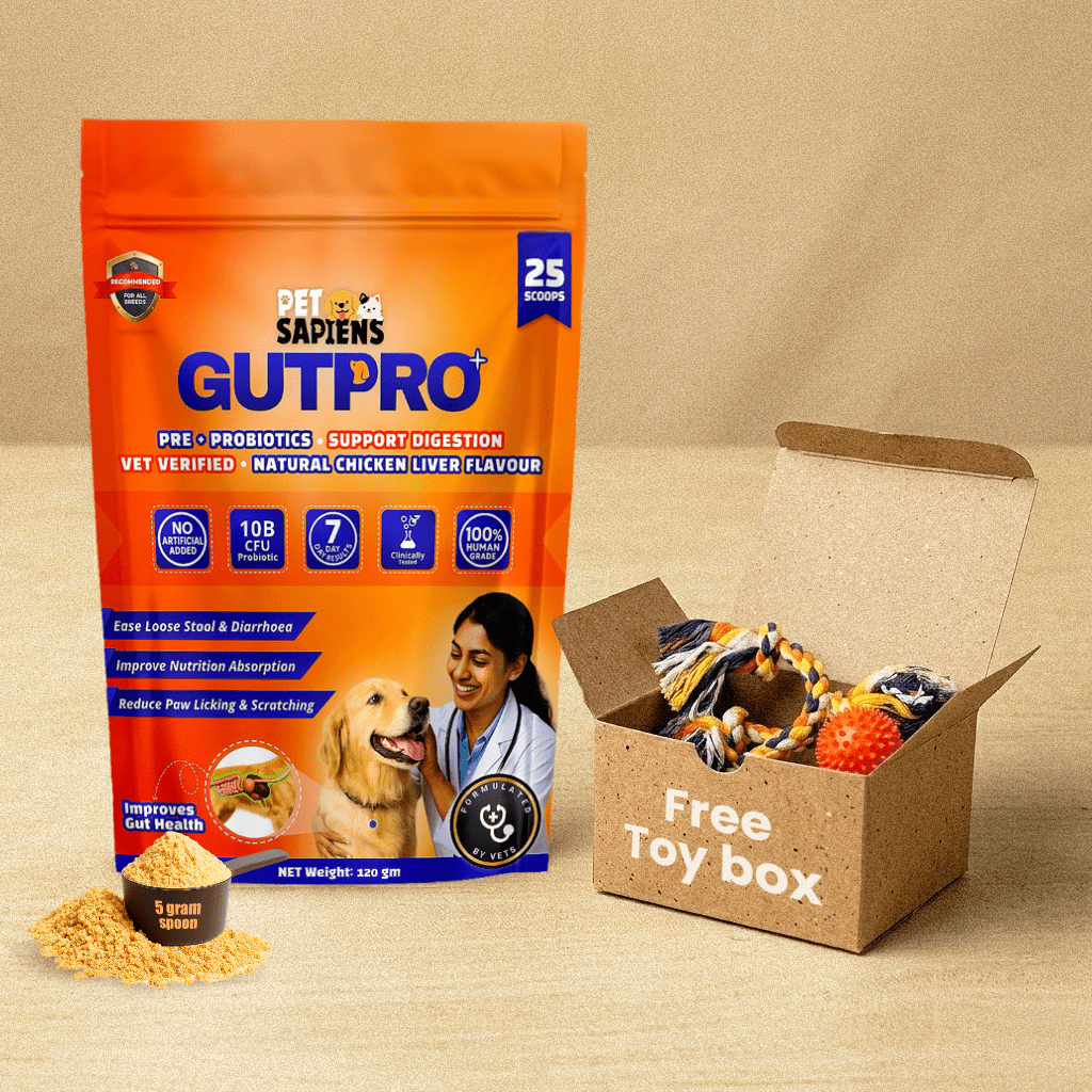 Pre + Probiotics Formula for Dog - PETSAPIENS