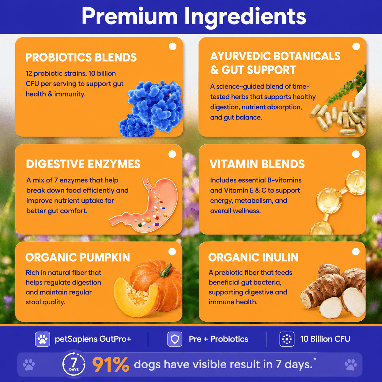 Pre + Probiotics Formula for Dog - PETSAPIENS