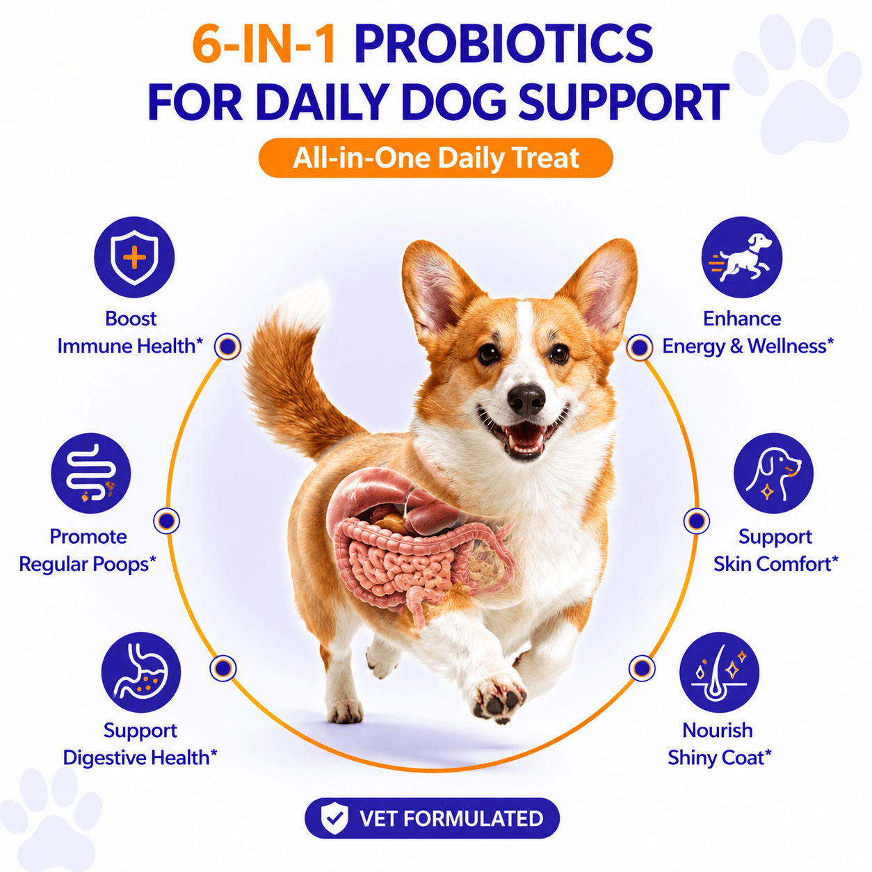 Pre + Probiotics Formula for Dog - PETSAPIENS