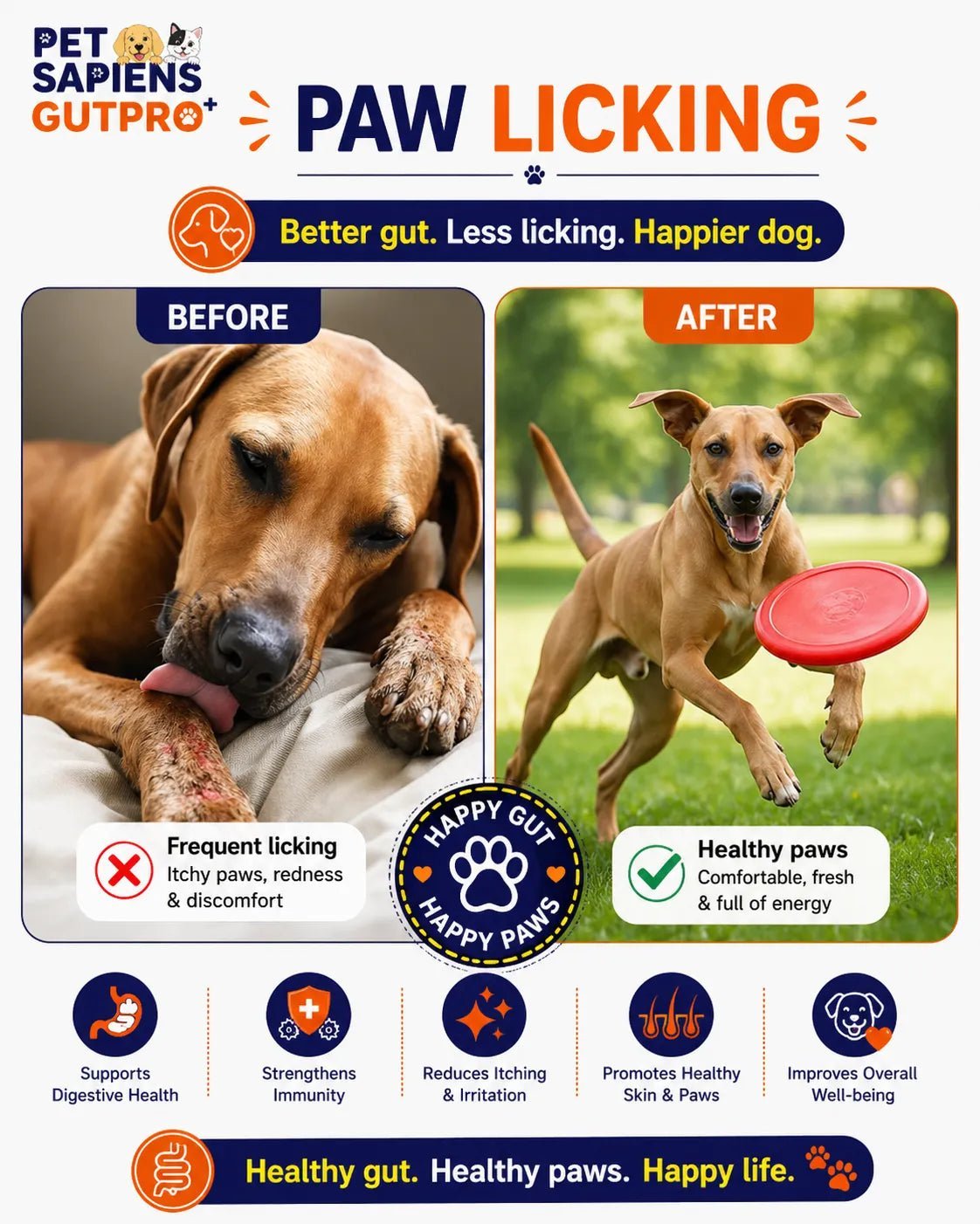 Pre + Probiotics Formula for Dog - PETSAPIENS