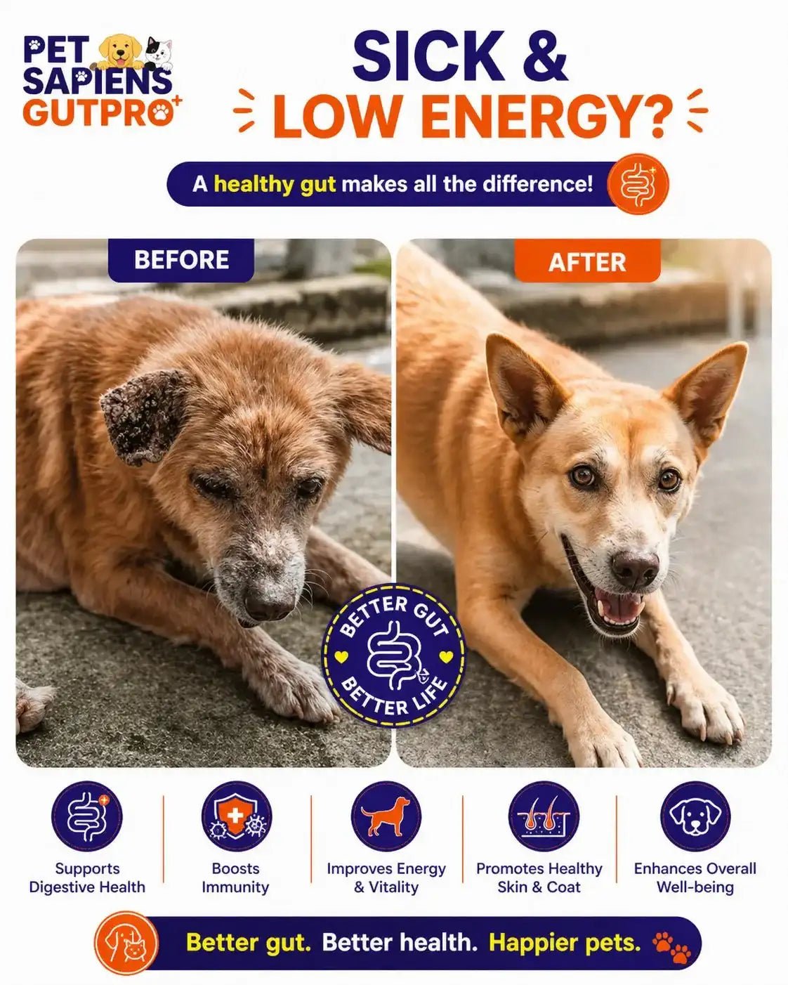 Pre + Probiotics Formula for Dog - PETSAPIENS