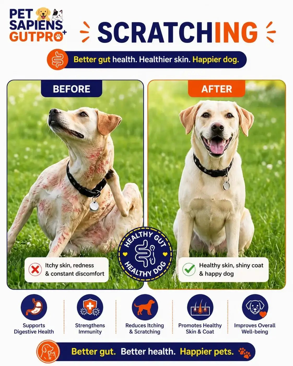 Pre + Probiotics Formula for Dog - PETSAPIENS
