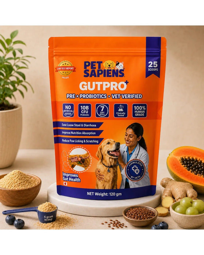 GutPro+ pouch styled with a scoop of powder, ginger, papaya, grapes and blueberries