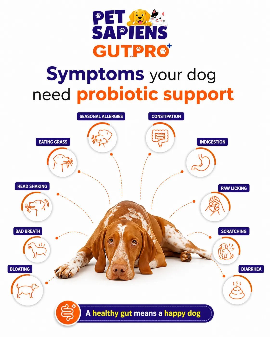 Pre + Probiotics Formula for Dog - PETSAPIENS