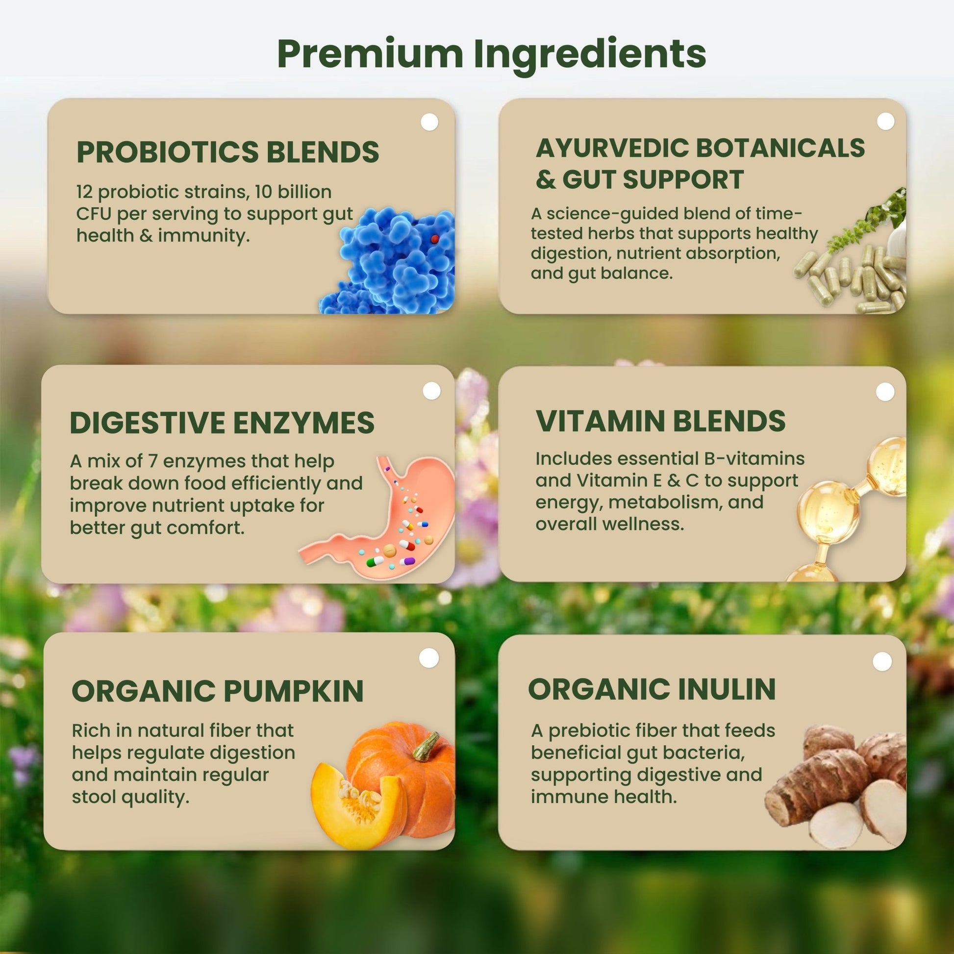 Pre + Probiotics Formula for Dog Gut Health - PETSAPIENS