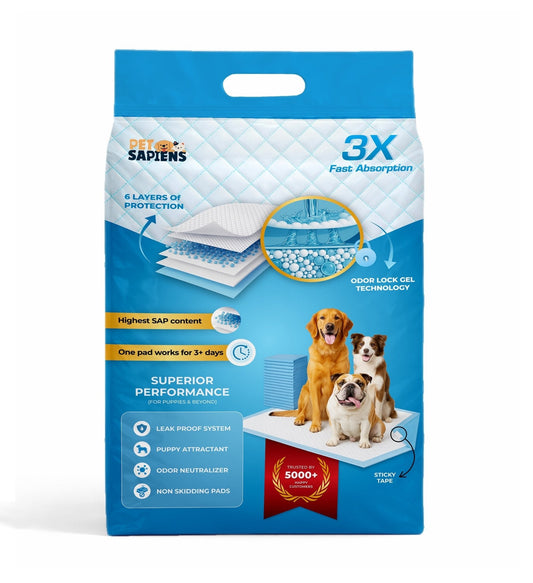 Training Pee Pads with Adhesive Tape - PETSAPIENS