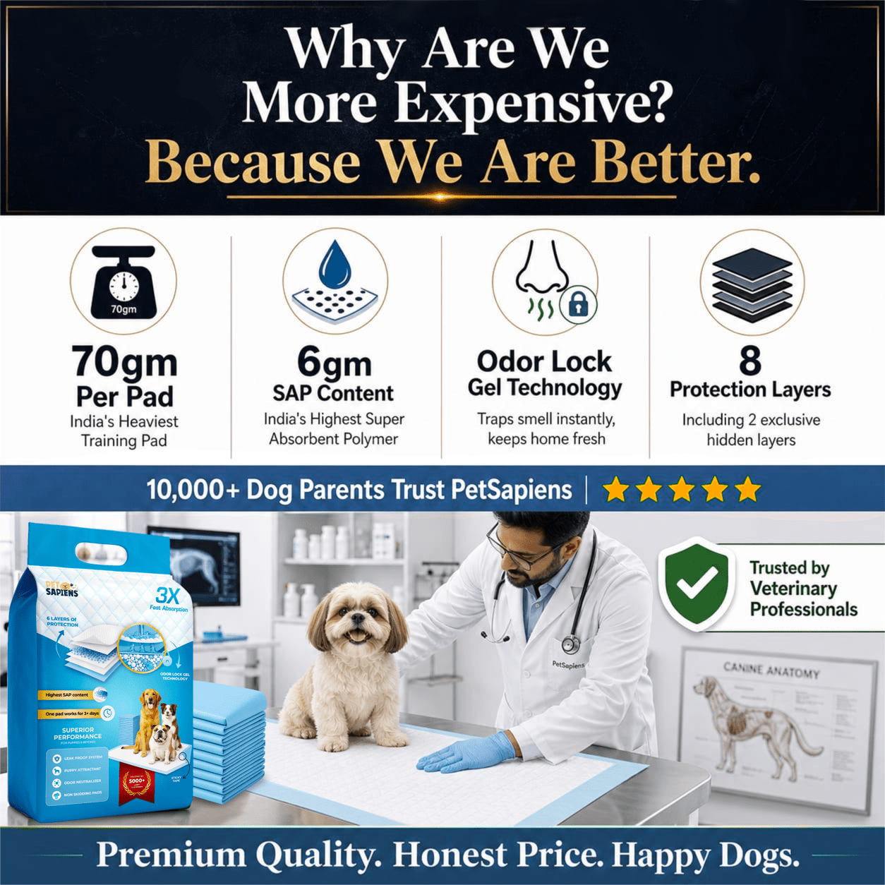 Training Pee Pads with Adhesive Tape - PETSAPIENS